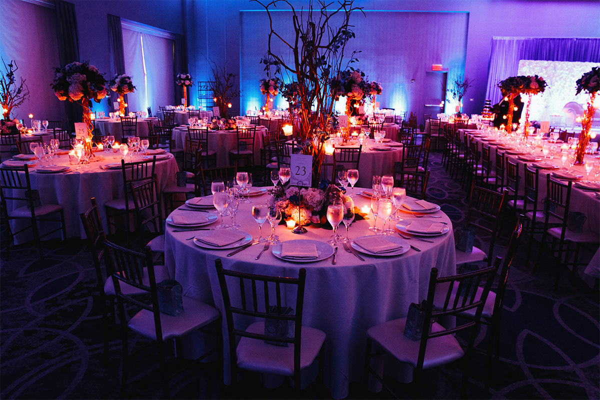 LightFox Night Party 2 02